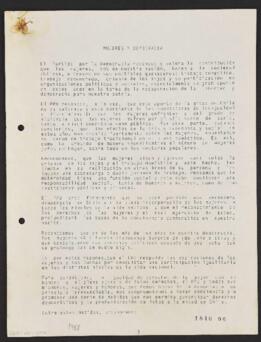 Mujeres y Democracia. Documento de trabajo