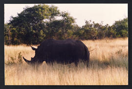 Visita a Sudáfrica Ministro de Obras Públicas de Chile 19