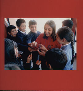 Cambio Climático: un acuerdo para cuidar la Tierra. Fotografía 13