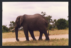Visita a Sudáfrica Ministro de Obras Públicas de Chile 20