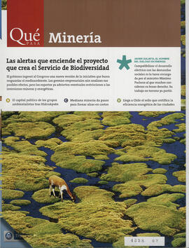 Revista Qué Pasa Minería
