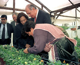 Visita exportadora de flores SONE S.A