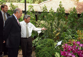 Bautizo de una Orquídea