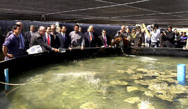 Visita a Planta Productora de Turbot