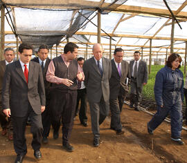 Visita empresa Pacific Flowers, Sociedad Agrícola Fiorella S.A