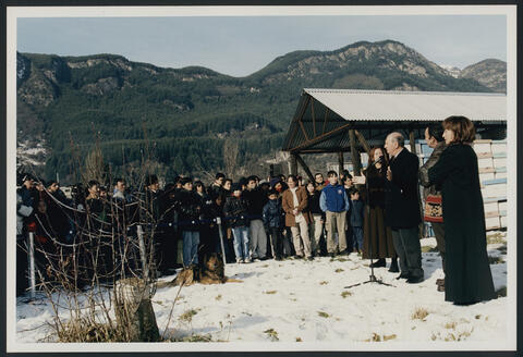 Original Digital object not accessible