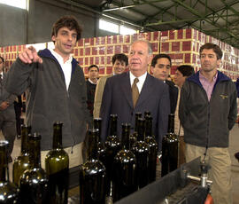 Visita a Viña Veramonte