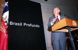 Exposición Brasil Profundo, Museo de Bellas Artes