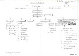 Esquema relativo a Estructura Orgánica de Comando de Candidatura Presidencial de Ricardo Lagos