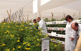 Inauguración Empresa Maraseed - Arica