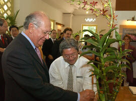 Bautizo de una Orquídea