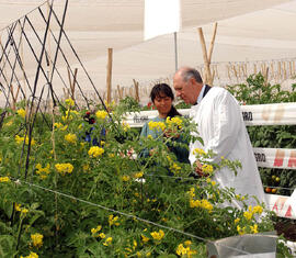 Inauguración Empresa Maraseed - Arica