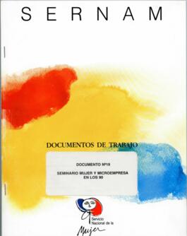 Documento de Trabajo Nº 19 Seminario Mujer y Microempresa en los 90