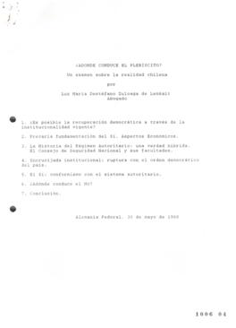 Adónde conduce el plebiscito? Un examen sobre la realidad chilena. Documento de Trabajo