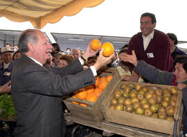 Entrega de Nuevo Recinto de Feria de Curico