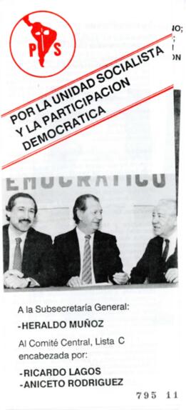 Por la Unidad Socialista y Participación Democrática. Folleto Lista C