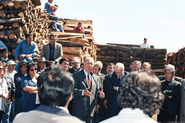 Inauguración Centros de Comercialización de Bosque Nativo