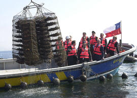 Visita Muelle Pesquero - Tongoy