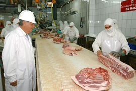 Visita Frigorífico O Higgins S.A