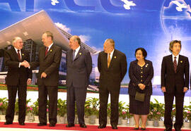 IX Cumbre APEC